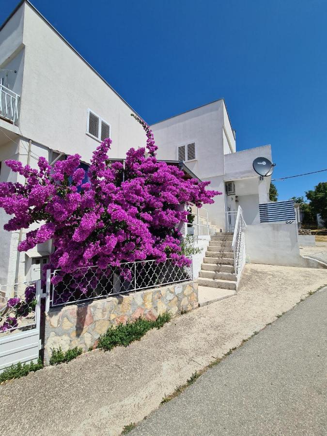 Maslenica-Bougainvillea - Bed and Breakfast