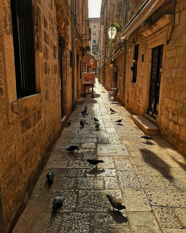 Dubrovnik Old Town Charming Room - B&B Dubrovnik