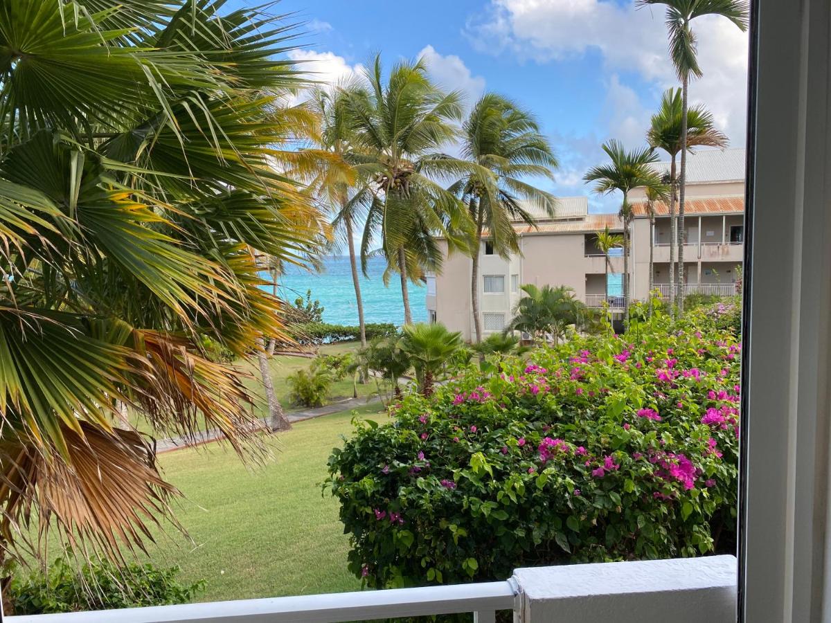 La pépite de Gosier - B&B Le Gosier