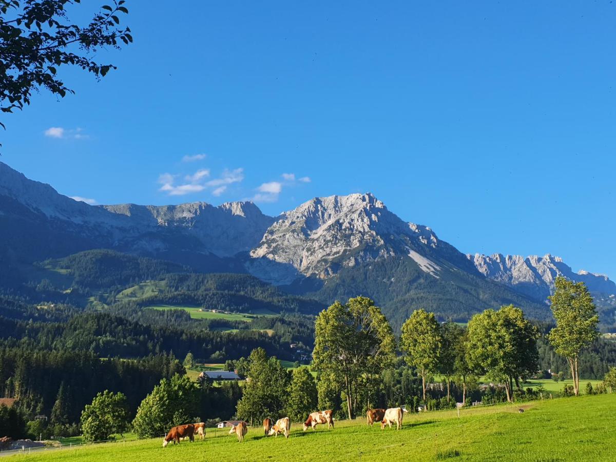 B&B Söll - Bauernhof Neu-Endfelden, Günter Widauer - Bed and Breakfast Söll