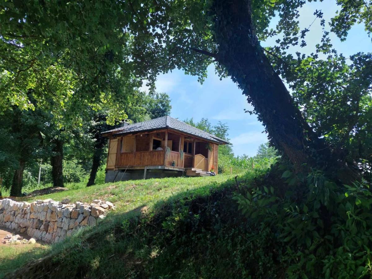 Marš na Drinu - Ferienwohnung Bajina Bašta