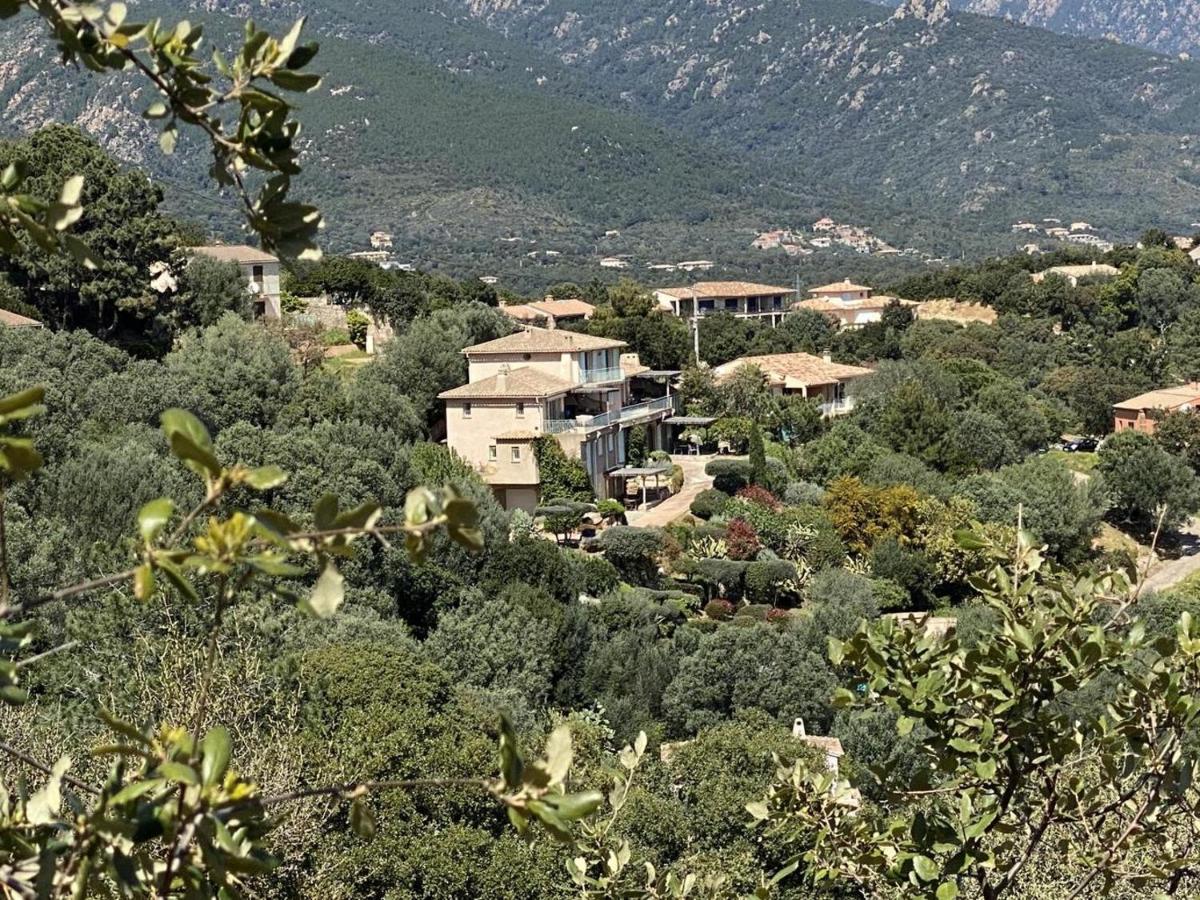 Appartement vue mer en Résidence avec piscine - B&B