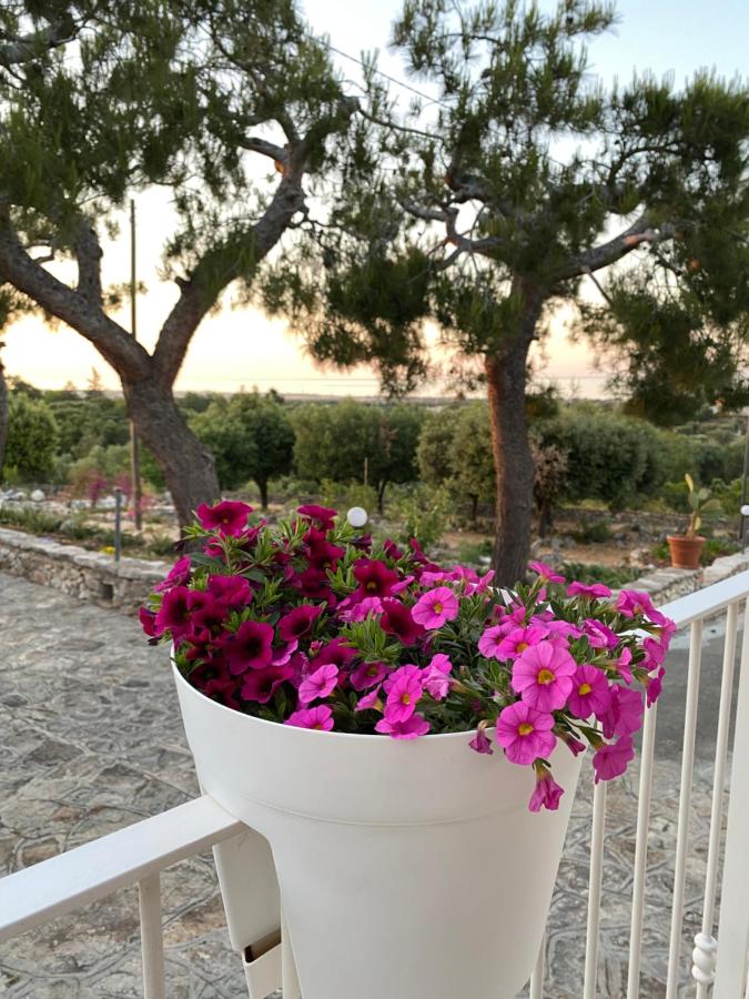 Monte Simeone - Bed and Breakfast Polignano a Mare