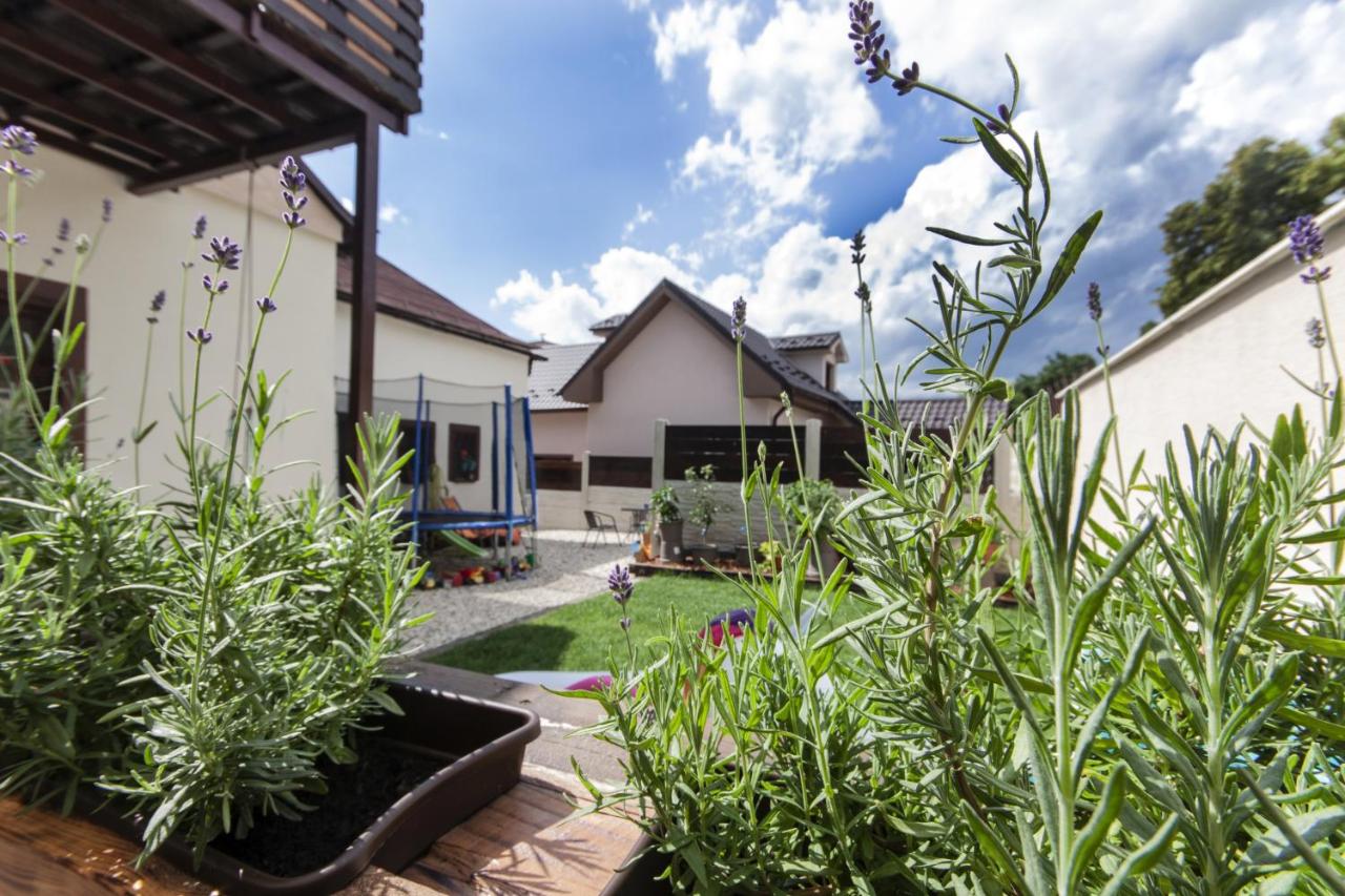 LEVIAL Rooms - B&B