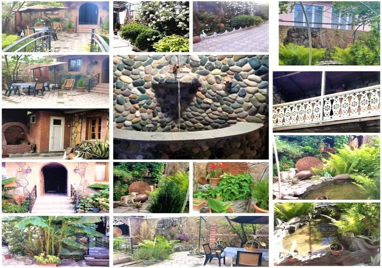 Tamar Guest House - B&B