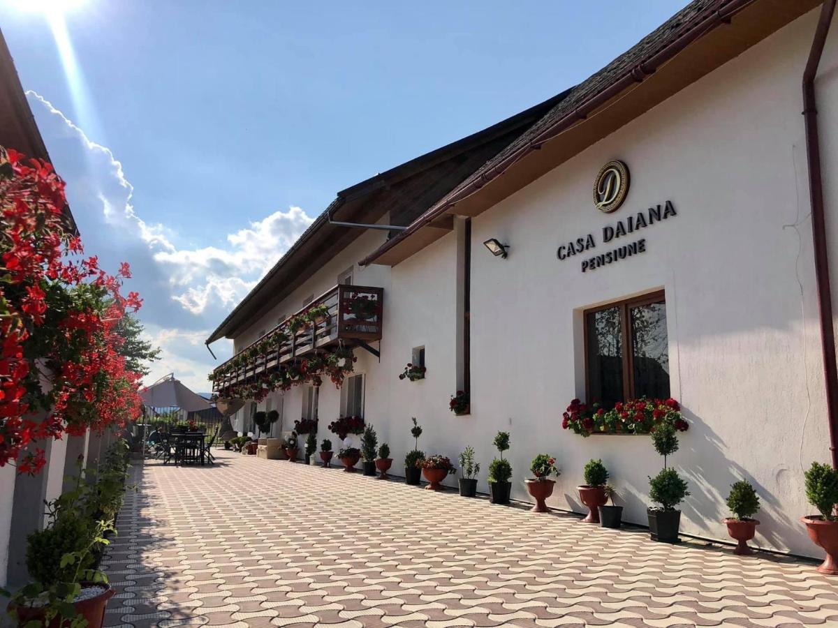 Casa Daiana - B&B Ocna Şugatag