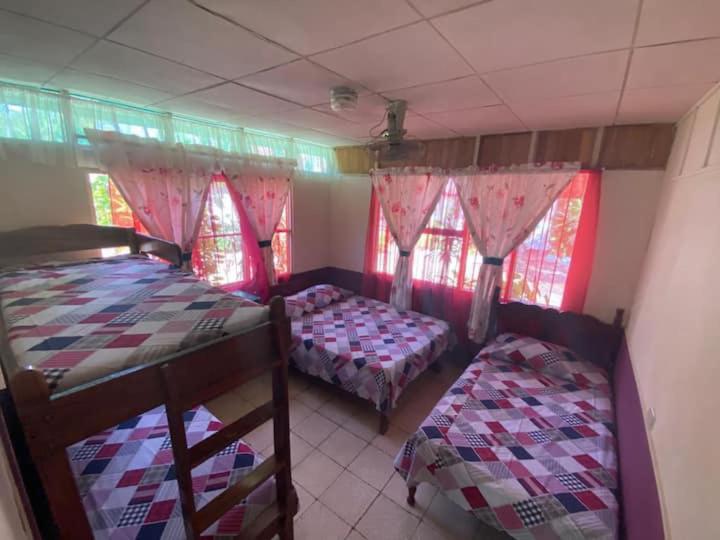 Coco verde - B&B