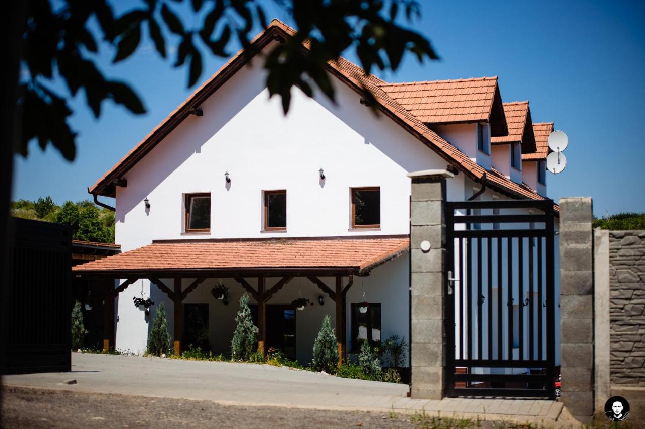 B&B Alba Iulia - VilaFrancisca10 - Bed and Breakfast Alba Iulia