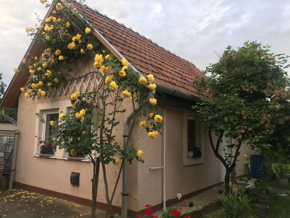 Guest House Rózsakert - Bed and Breakfast Egerszalók