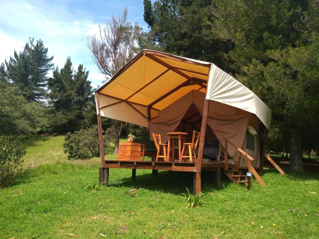 B&B Guasca - Glamping Verde 360 - Bed and Breakfast Guasca