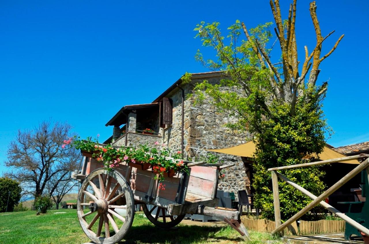 B&B Orvieto - Agriturismo Il Poggio Di Orvieto - Bed and Breakfast Orvieto