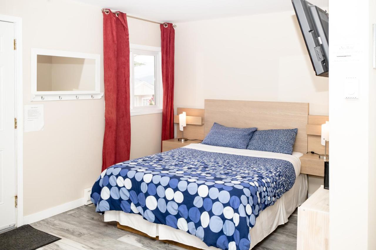 Queen Studio - Pet Friendly
