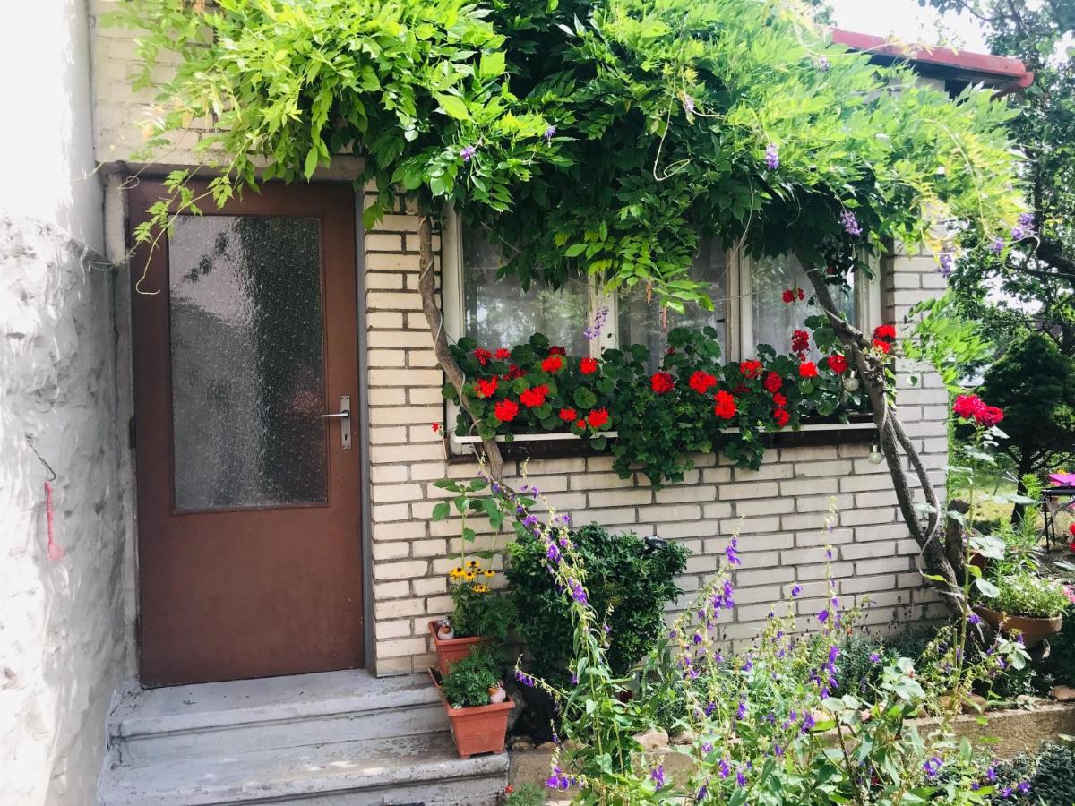 Garden View Apartment - B&B