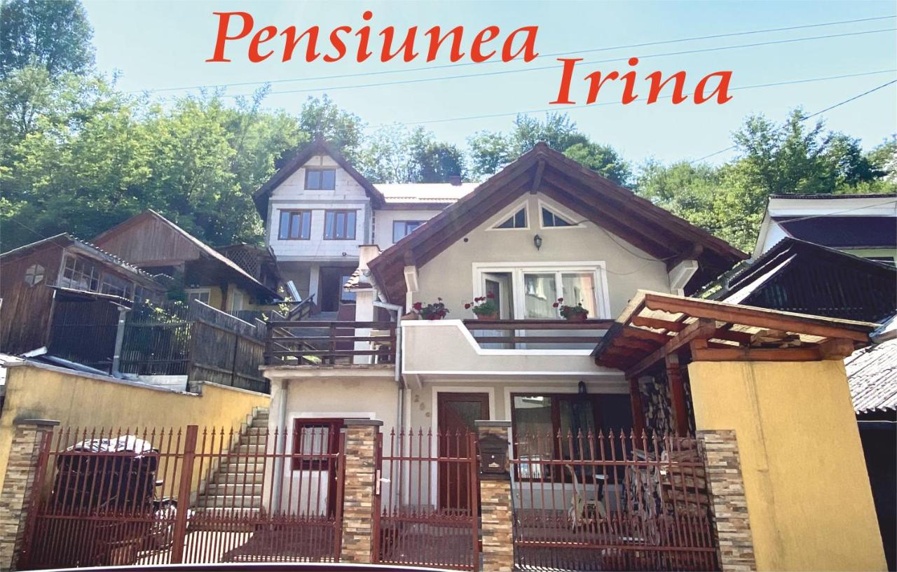 Pensiunea Irina - Chambres d'hôtes Sângeorz-Băi