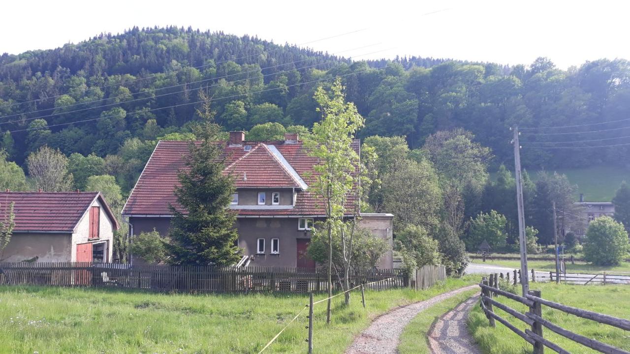 B&B Sośnina - Świerkowe Przysiółki - Bed and Breakfast Sośnina