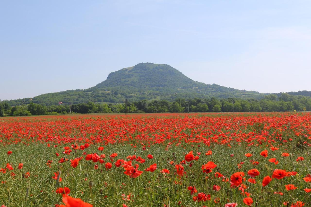 Gyulavezér Lovasbirodalma Vendégháza - B&B Gyulakeszi