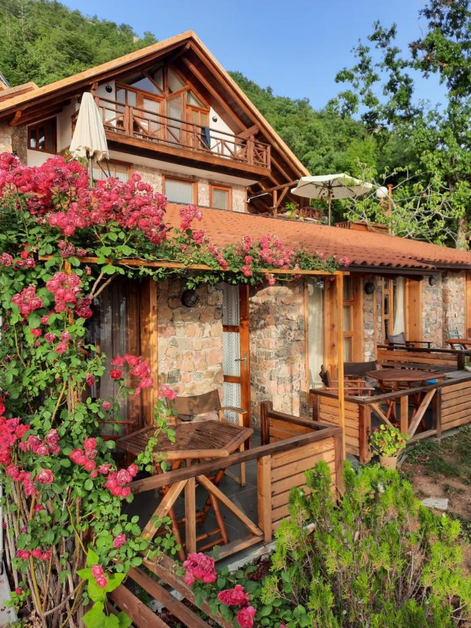 B&B Ohrid - Robinson Sunset Guest House - Bed and Breakfast Ohrid