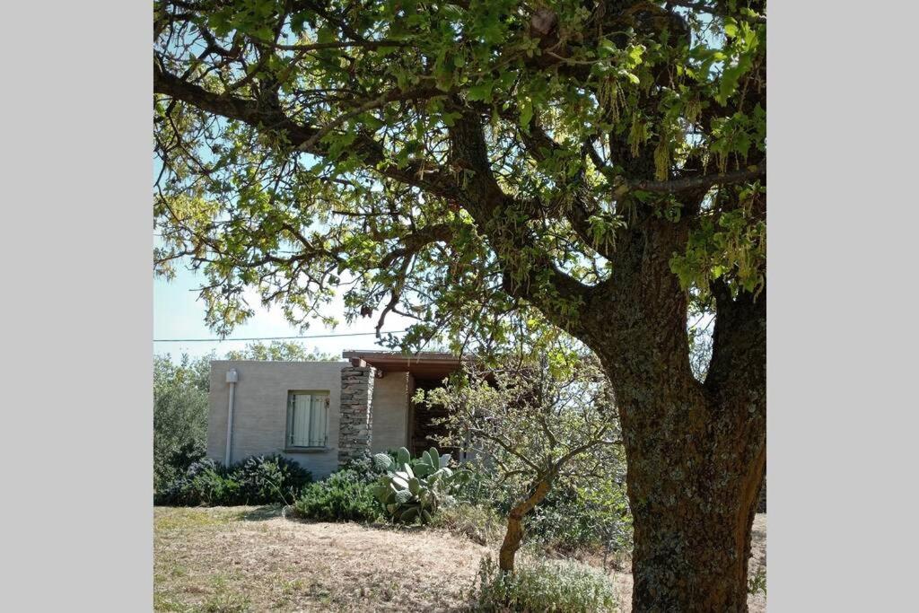 B&B Ioulida - Cottage amidst vines and Oak Trees - Bed and Breakfast Ioulida