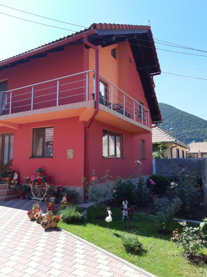 B&B Zarnesti - Vila Georgeta - Bed and Breakfast Zarnesti