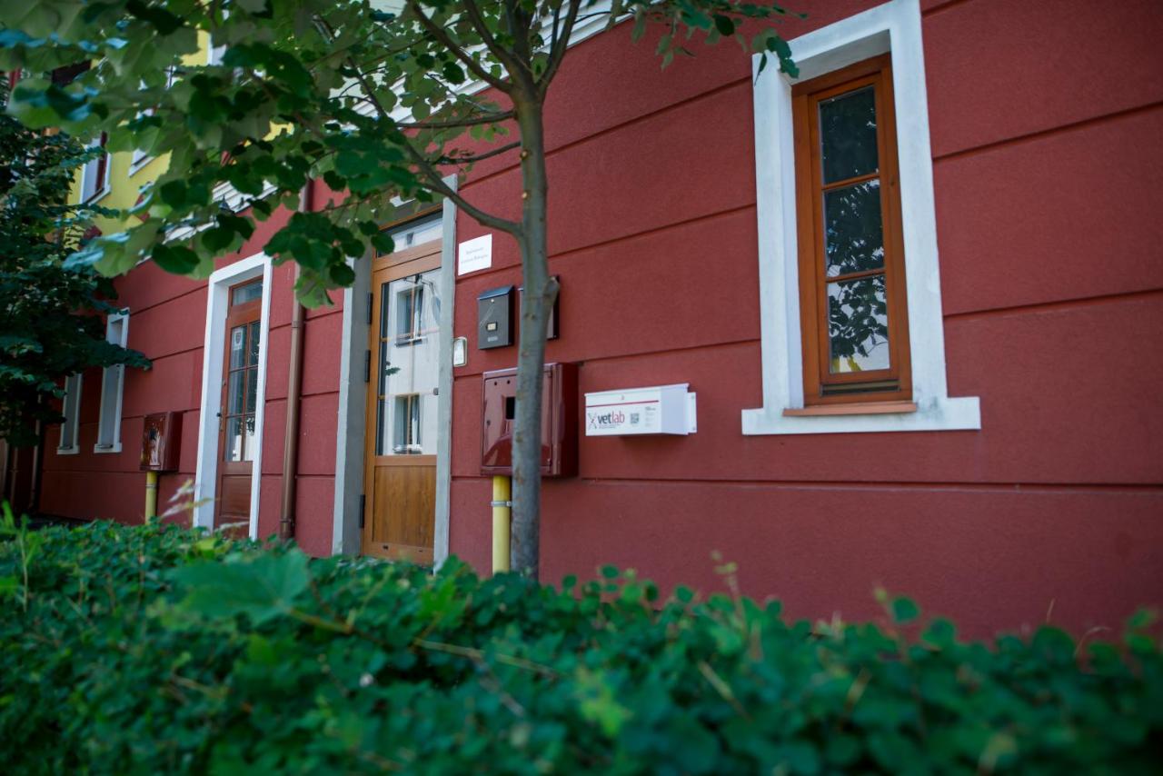 Apartamenty Centrum Biskupiec - B&B