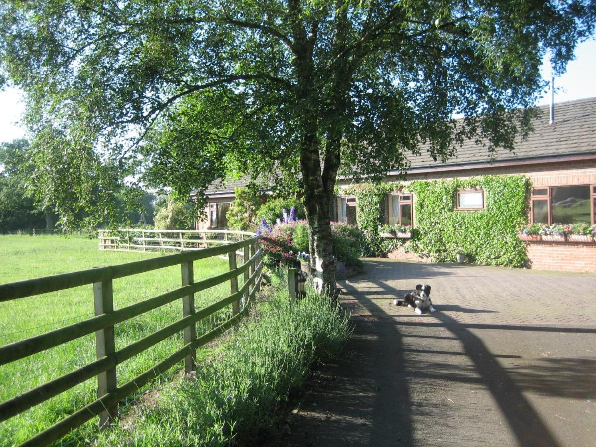 B&B Congleton - Ladderstile Retreat - Bed and Breakfast Congleton