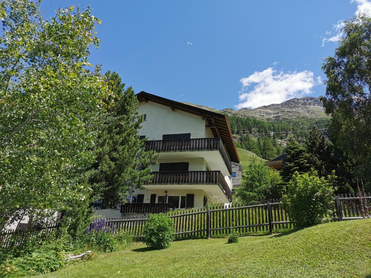 Ferienwohnung Pontresina - Chesa Andrea - Gartensitzplatz - B&B