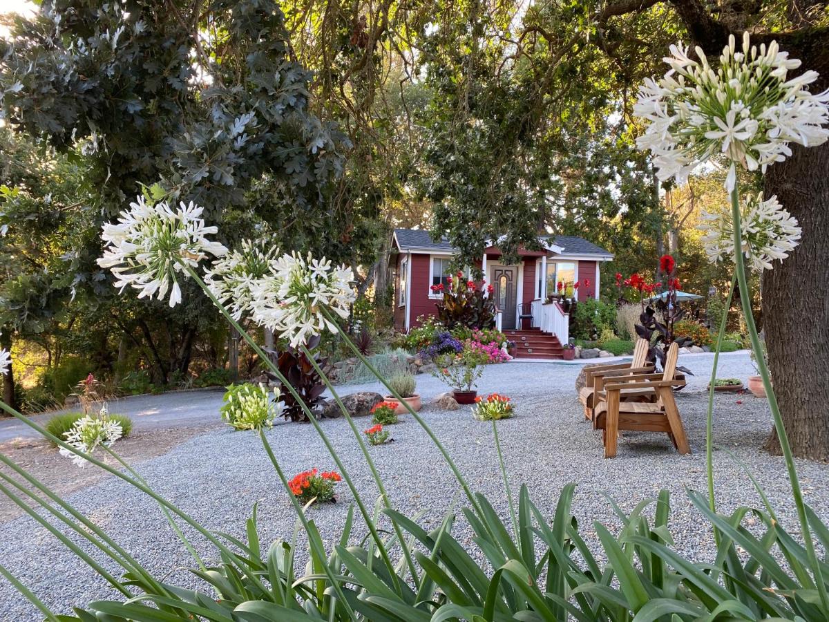 B&B Santa Rosa - Amitabha Wine Country Cottage - Bed and Breakfast Santa Rosa