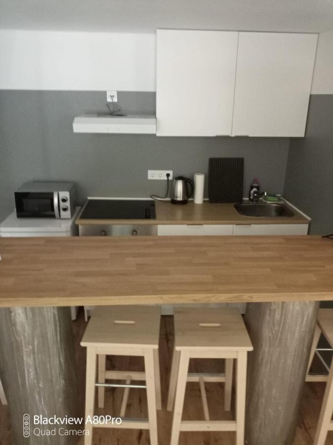 Estudio con terraza