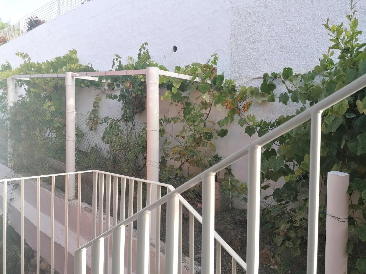 APARTAMENTO LEMMON TREE - B&B