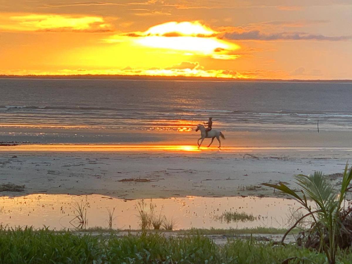 FlowMove Retreat Algodoal - B&B Algodoal