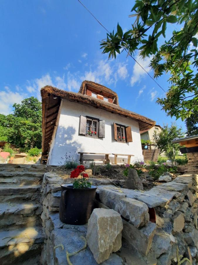 B&B Kőszegszerdahely - Sasfészek Pihenő - Bed and Breakfast Kőszegszerdahely