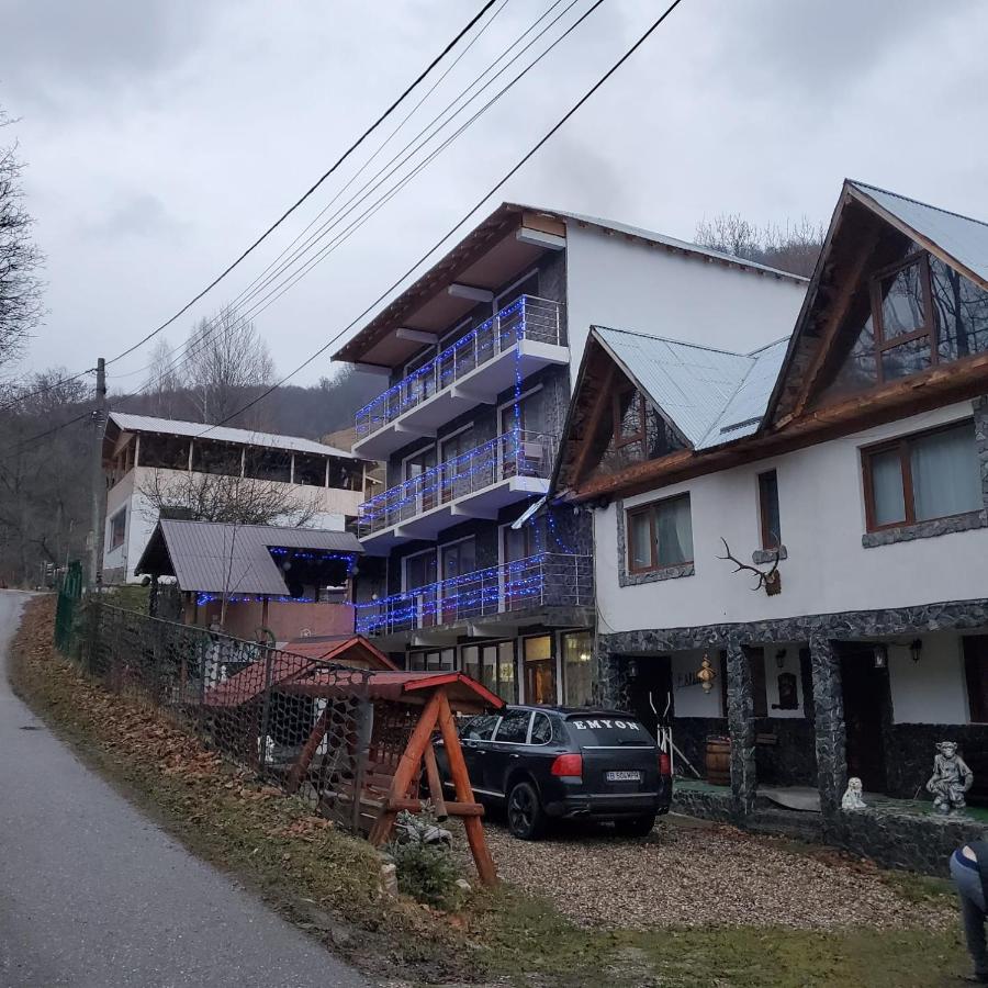 Casa Albiony Dâmbovicioara - B&B Dâmbovicioara