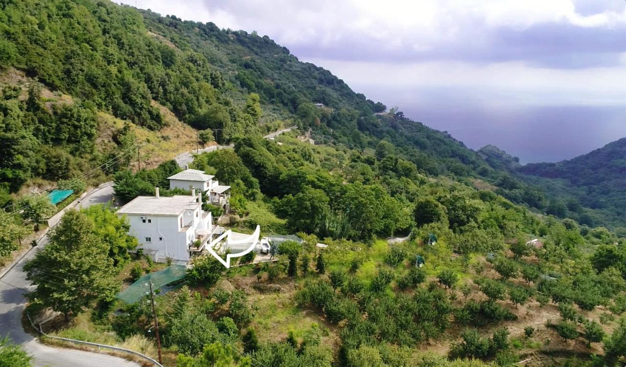 D & K Guest House - B&B