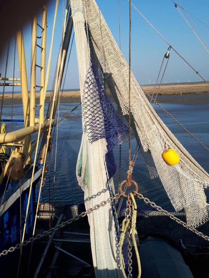 Top EG Rollstuhlwohnung 80qm zum Frühjahr- und Sommerpreis - Chambres d’hôtes Utarp