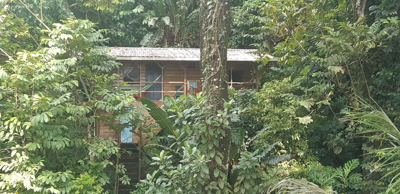 Family Suite with Balcony