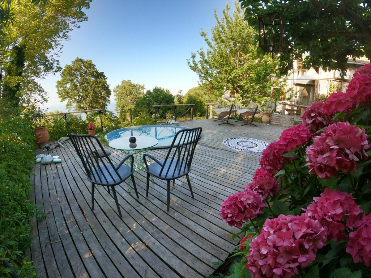 FoRest Loft - B&B Tzigourati