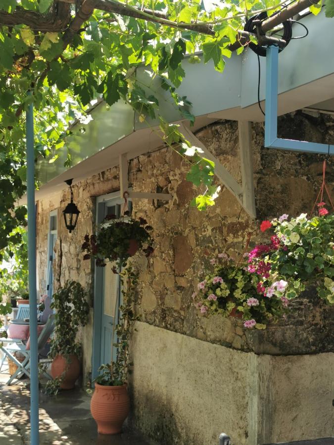 Holiday House Prodromos - B&B Prodromos