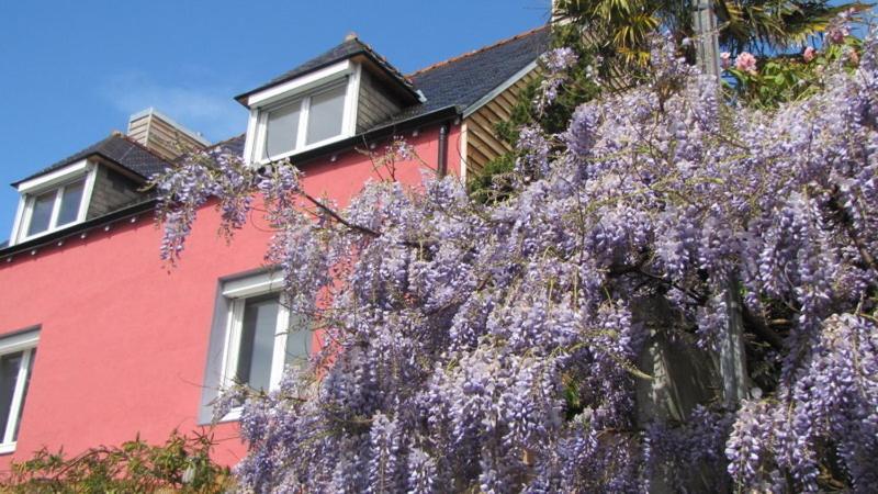 Chez Tata Bea - Ferienwohnung Quimper