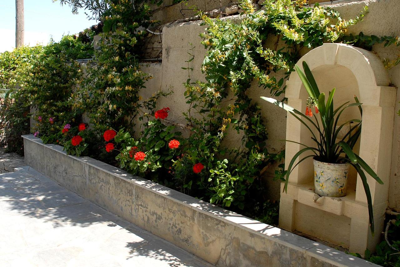 Bellevue Apartments - Bed and Breakfast