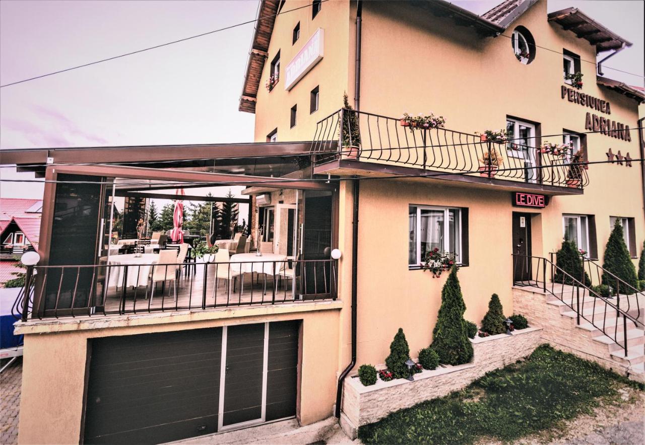 Pensiunea Adriana Straja - B&B