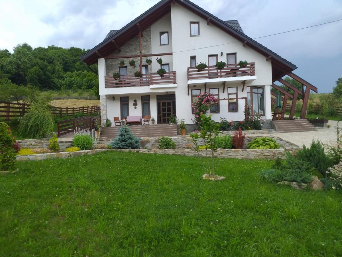 B&B Mănăstirea Humorului - Pensiunea Doina Bucovinei - Bed and Breakfast Mănăstirea Humorului