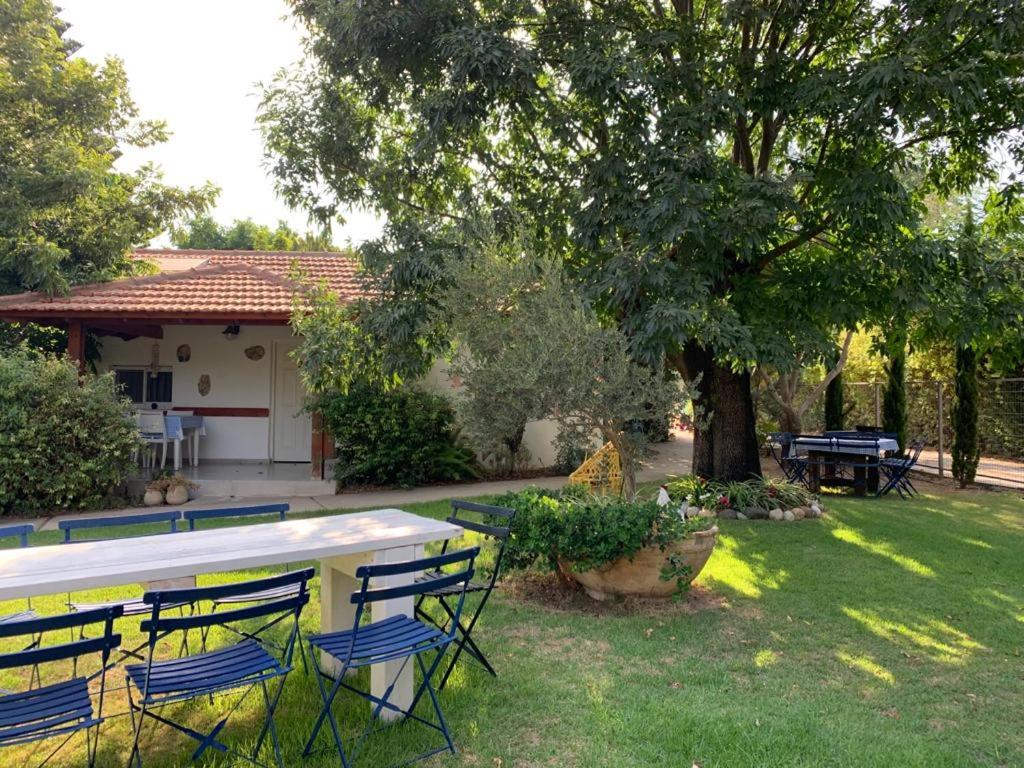 Orhan Havaya - B&B She’ar Yashuv