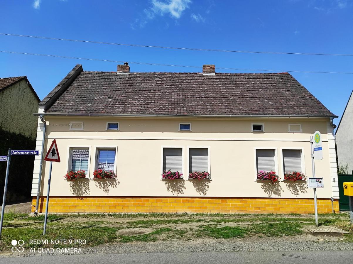 Apartment mit 1 Schlafzimmer