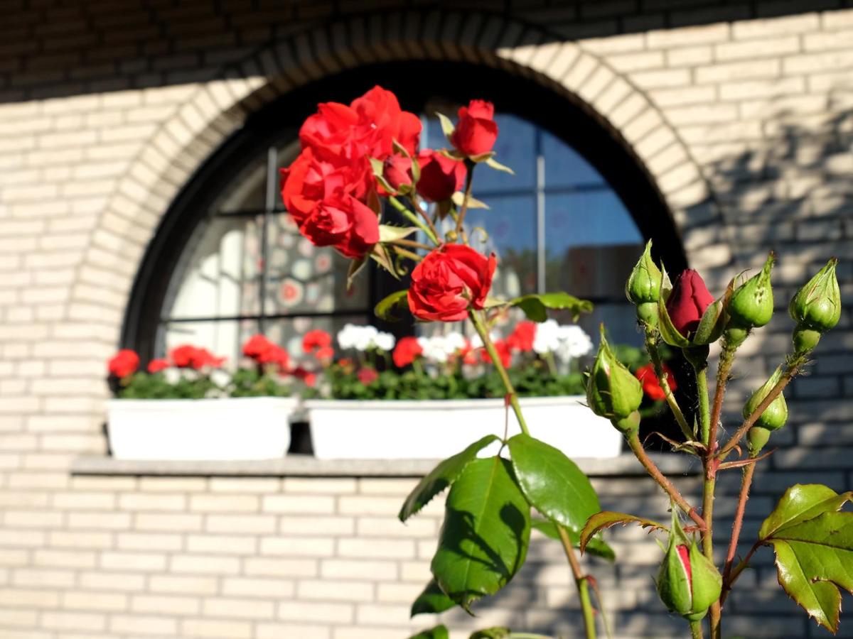 VILLA ORCHARD Frankfurt - B&B