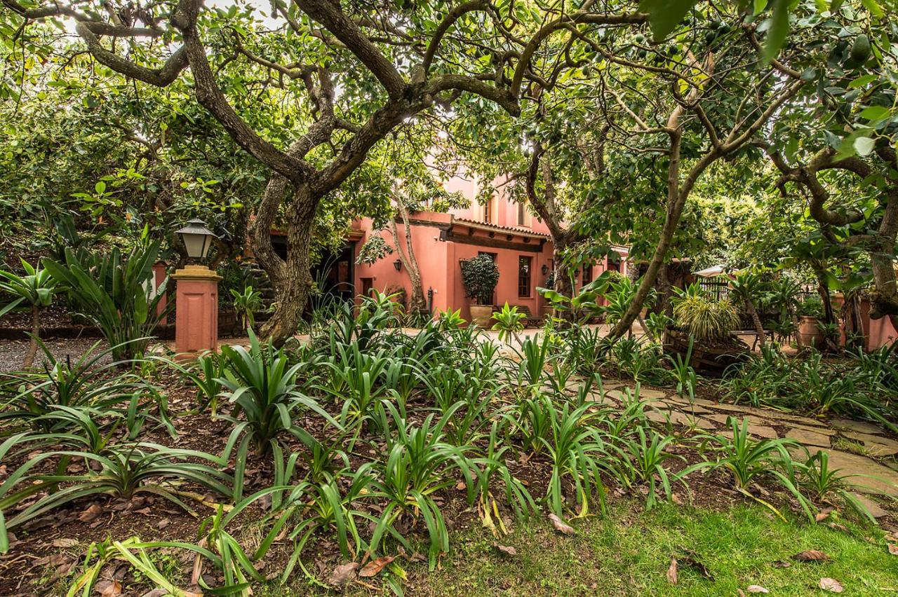 HomeForGuest Cosy rural flat El Romero with large gardens - B&B