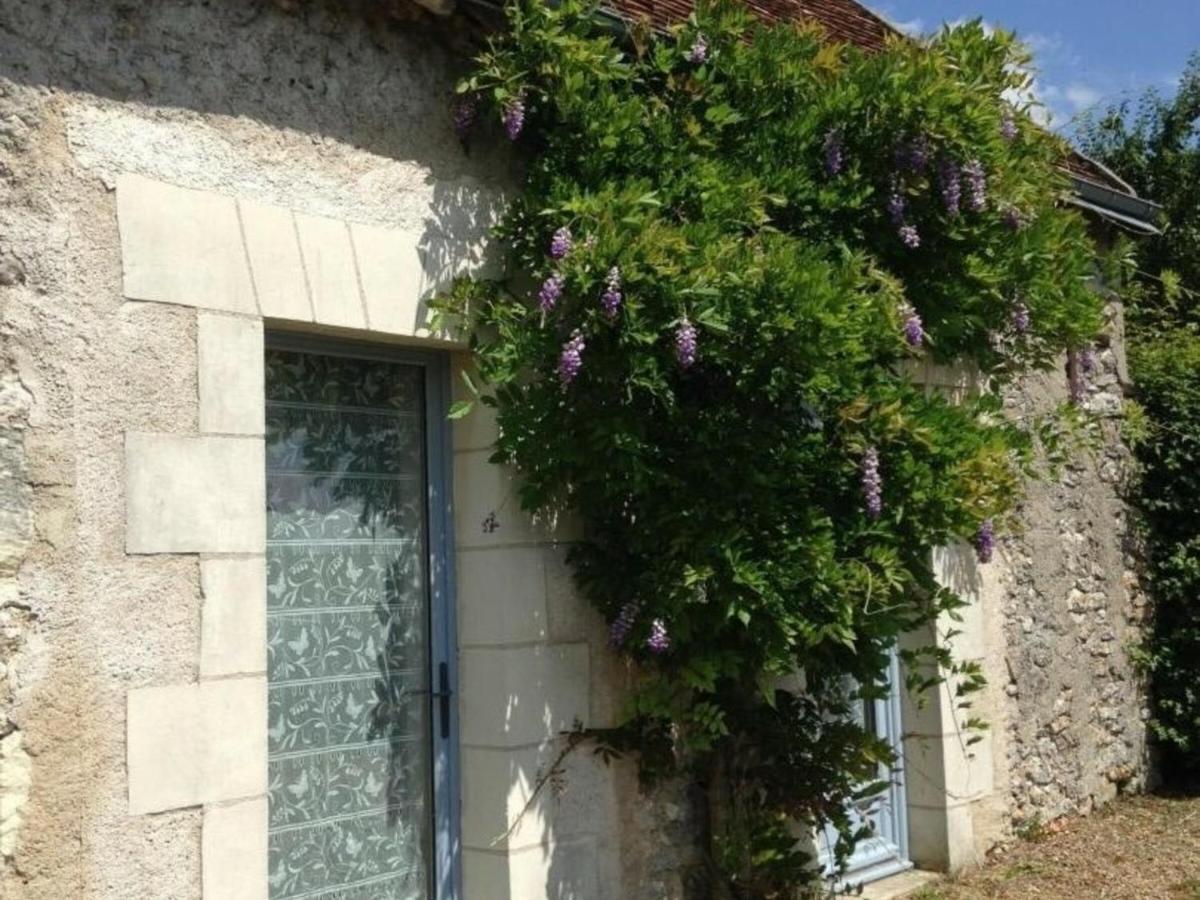 B&B Luzillé - Gîte Luzillé, 3 pièces, 4 personnes - FR-1-381-303 - Bed and Breakfast Luzillé