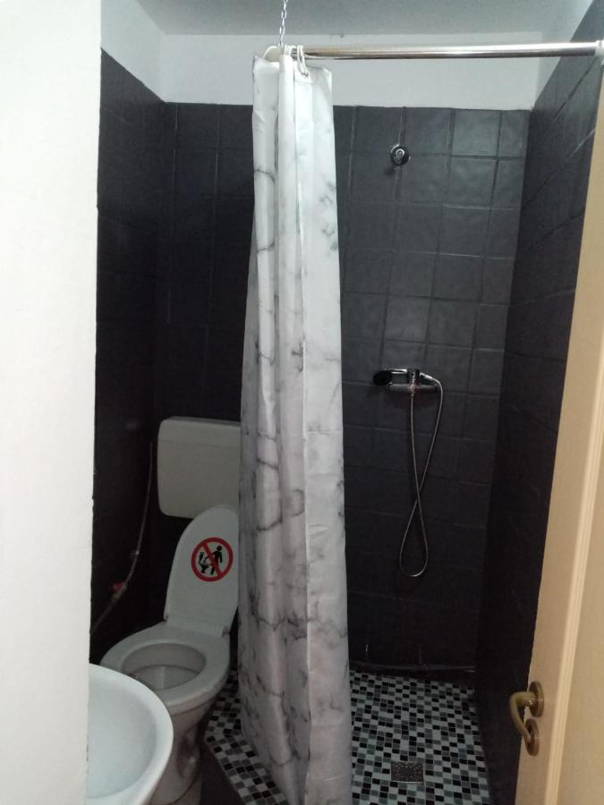 Vila Danlavi Busteni - B&B
