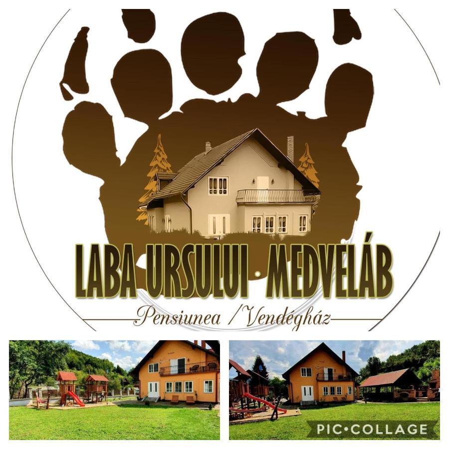 Pensiunea Laba Ursului - Medveláb Vendégház - B&B