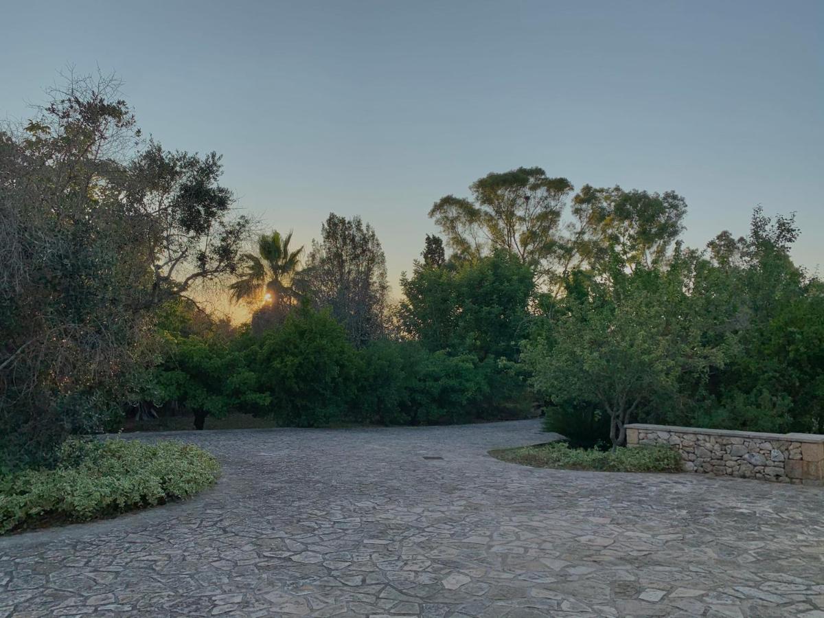 Villa Olivia - B&B Tricase