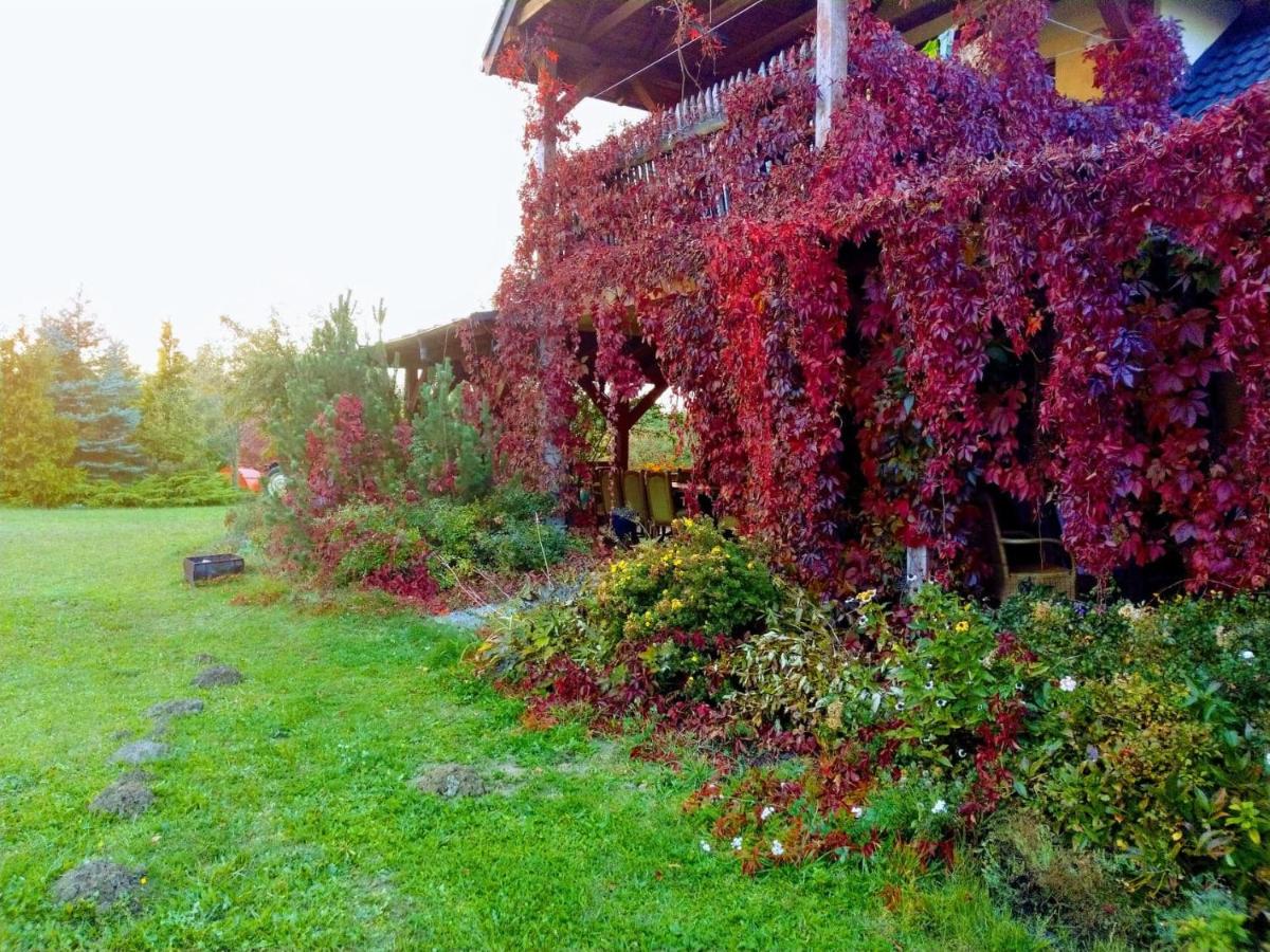 Family Room with Garden View